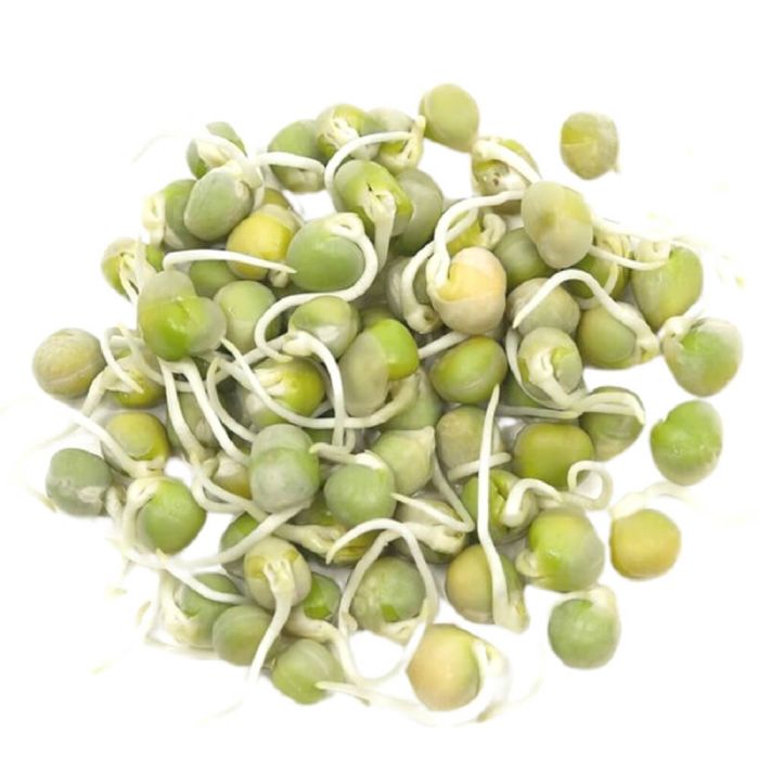 البازلاء الخضراء_0
