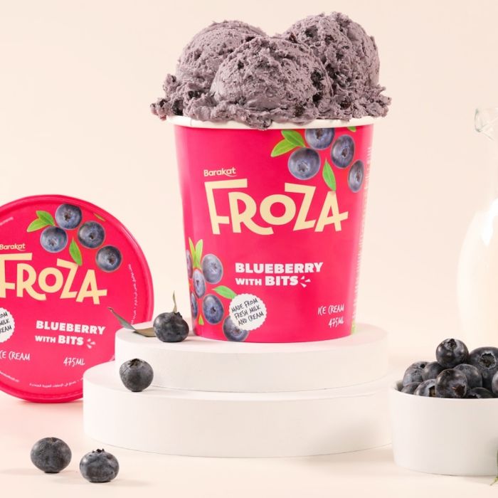 Froza Premium Blueberry Ice cream with Bits 475ml_0