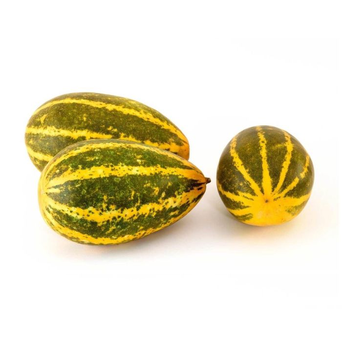Vellery (Yellow Cucumber) 900-1100g_0
